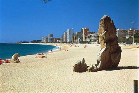 playas cerca de terrassa|Terrassa ️ all 58 beaches around 49km (Spain, Catalonia,。